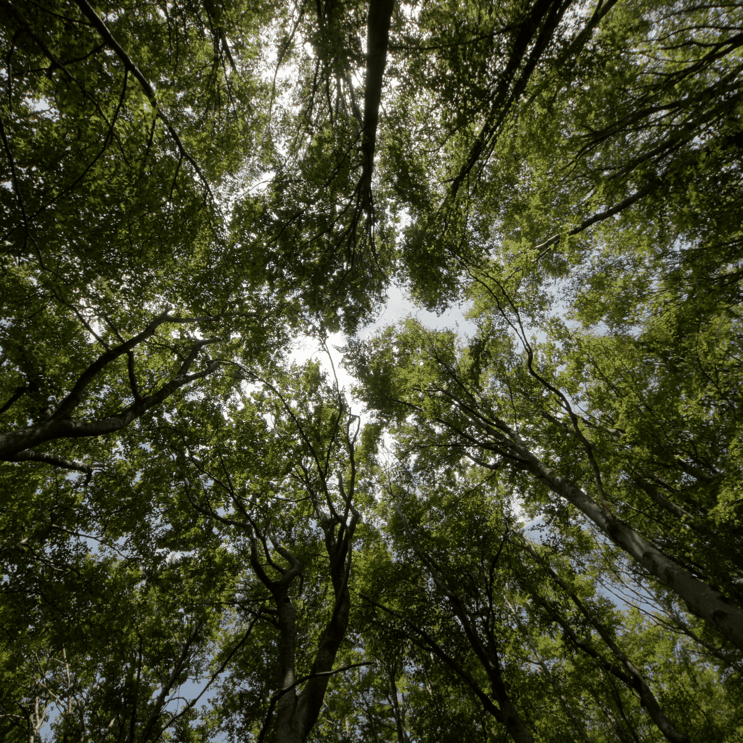 Vision durable du transport écoresponsable